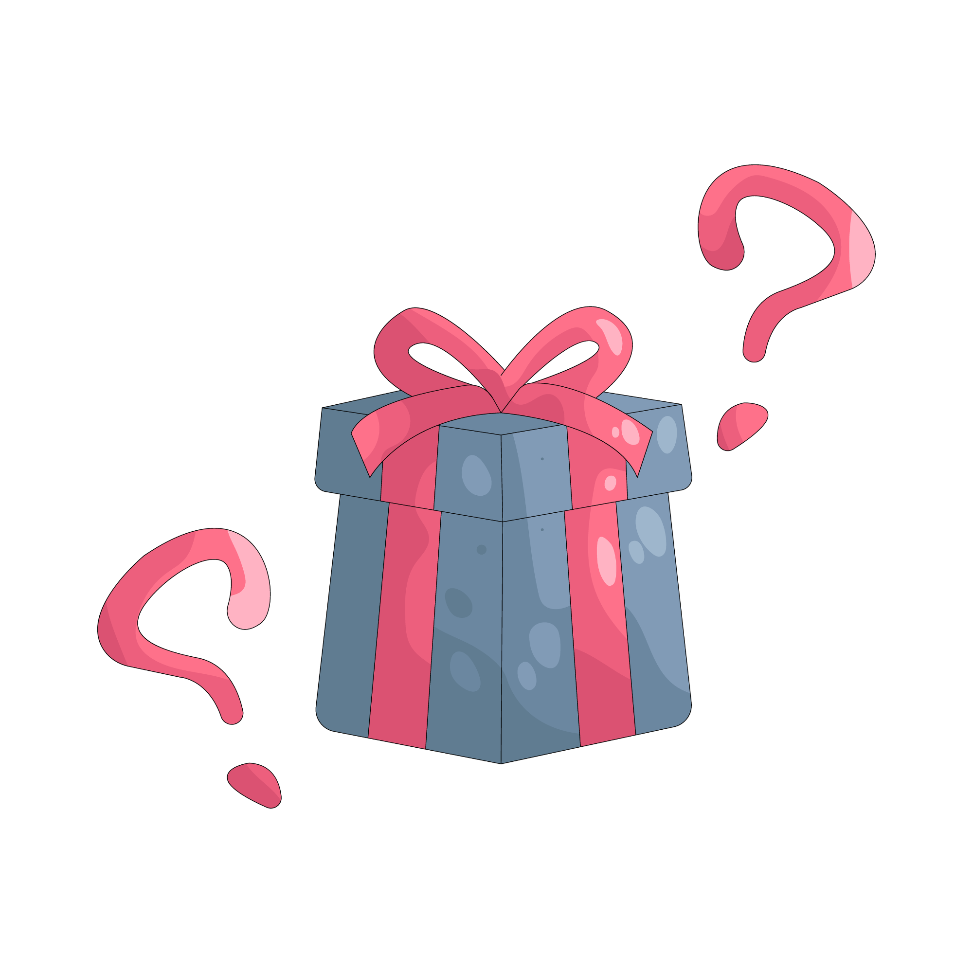 Mystery Gift